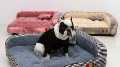 멍이 꿀잠 보장! 강아지 철제 침대 솔직 후기🐶 할인 정보까지!